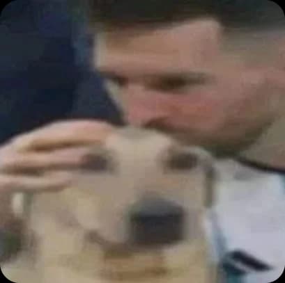 A dog receiving a kiss on the head