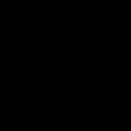 Kiwix logo
